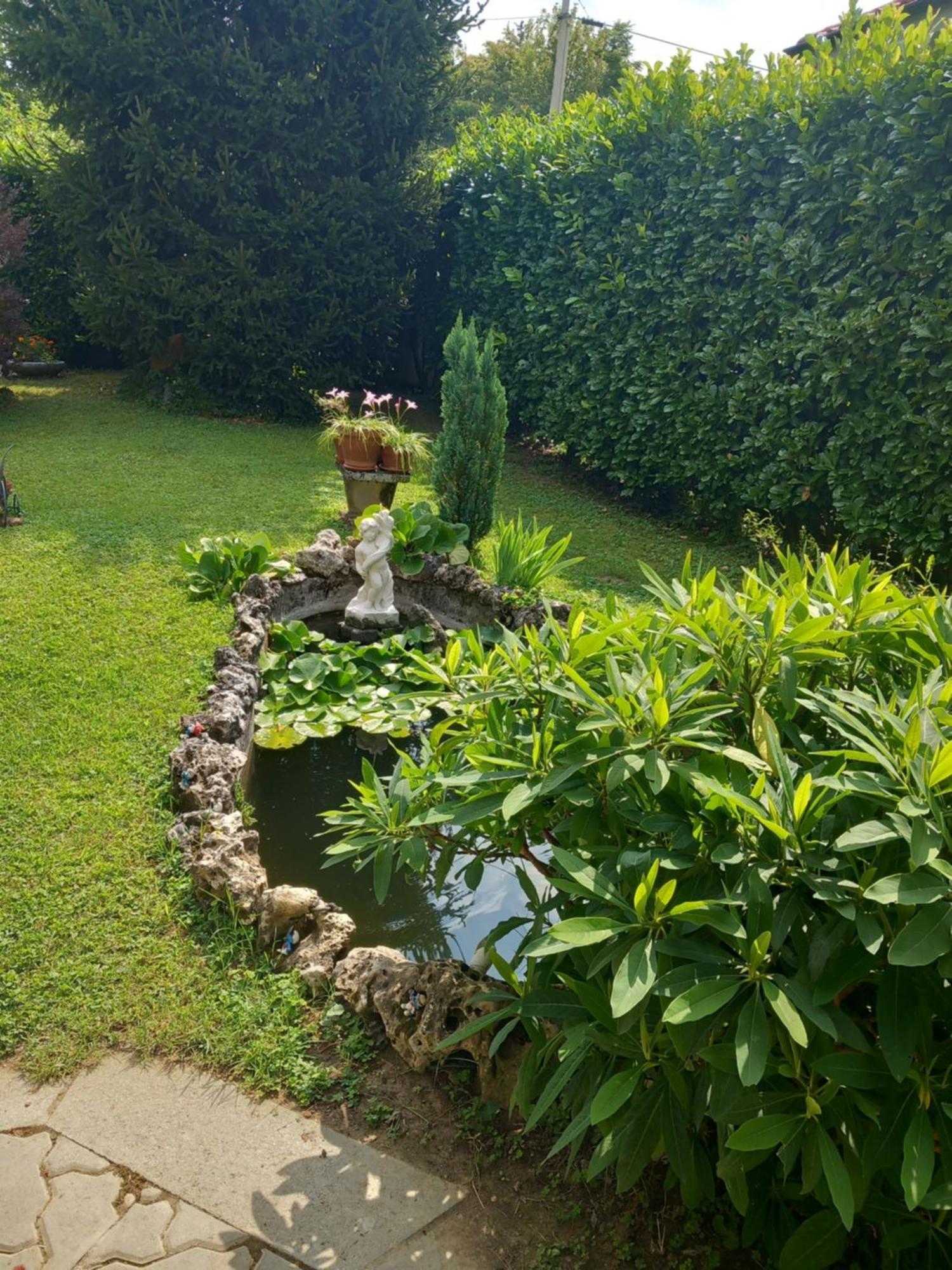 Il Laghetto Bed & Breakfast Torre Canavese Dış mekan fotoğraf