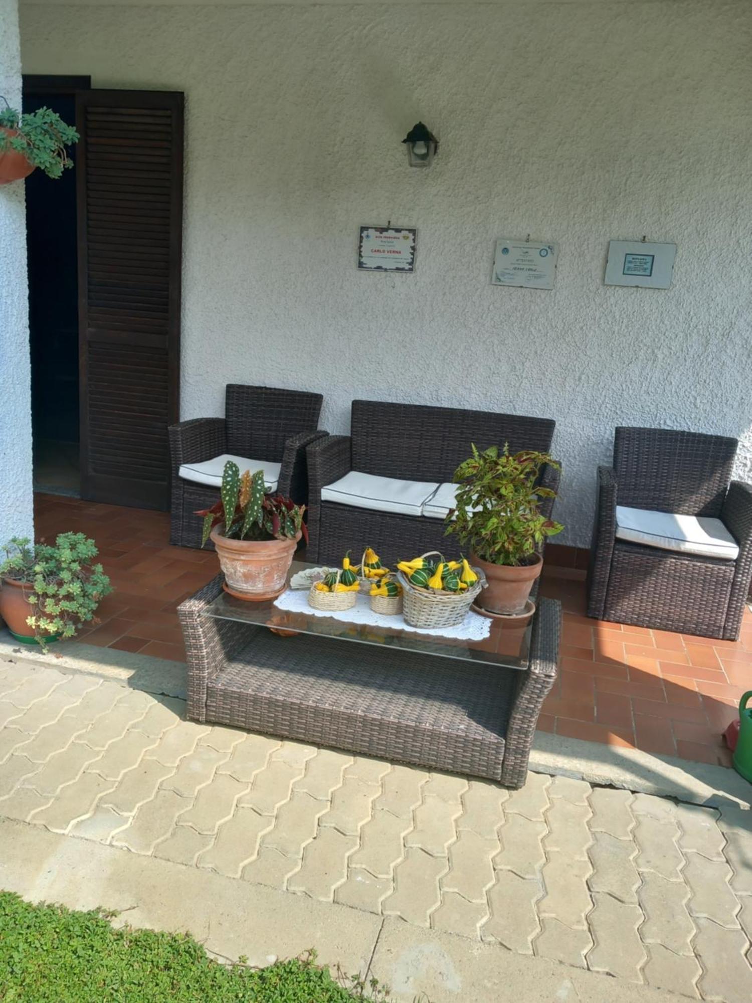 Il Laghetto Bed & Breakfast Torre Canavese Dış mekan fotoğraf