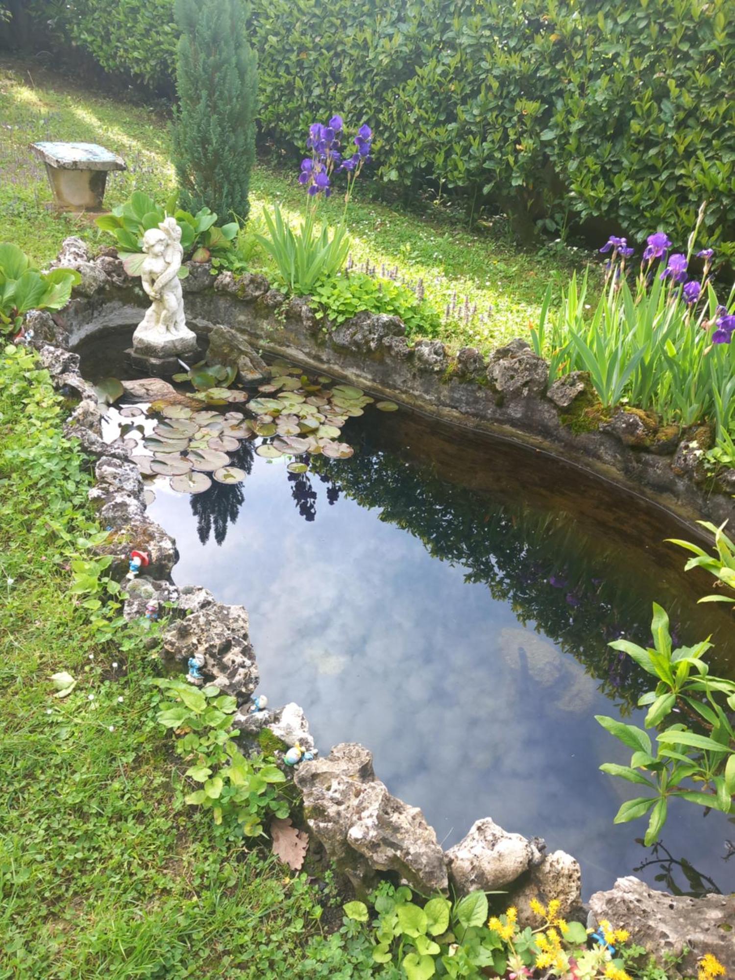 Il Laghetto Bed & Breakfast Torre Canavese Dış mekan fotoğraf