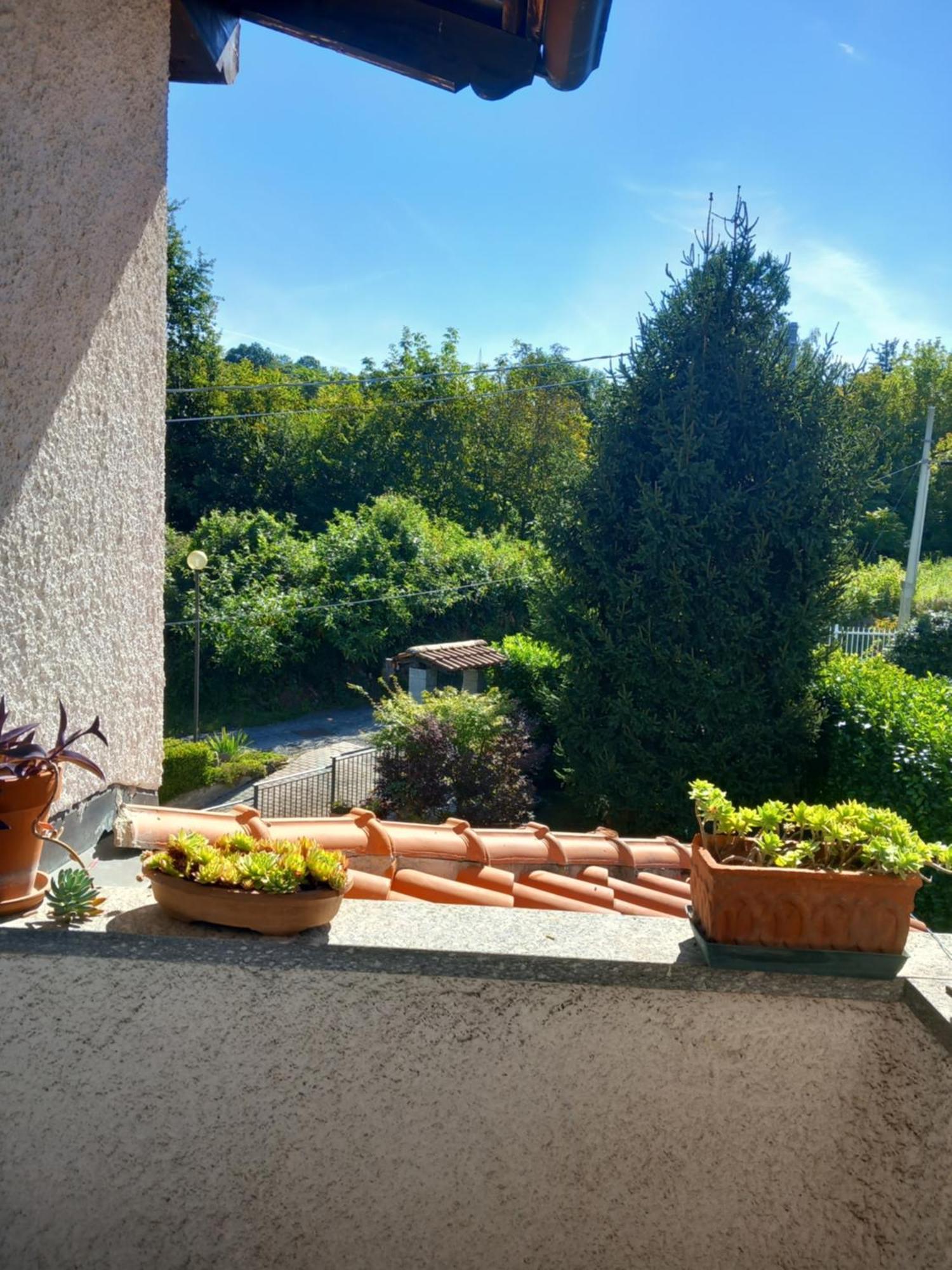 Il Laghetto Bed & Breakfast Torre Canavese Dış mekan fotoğraf