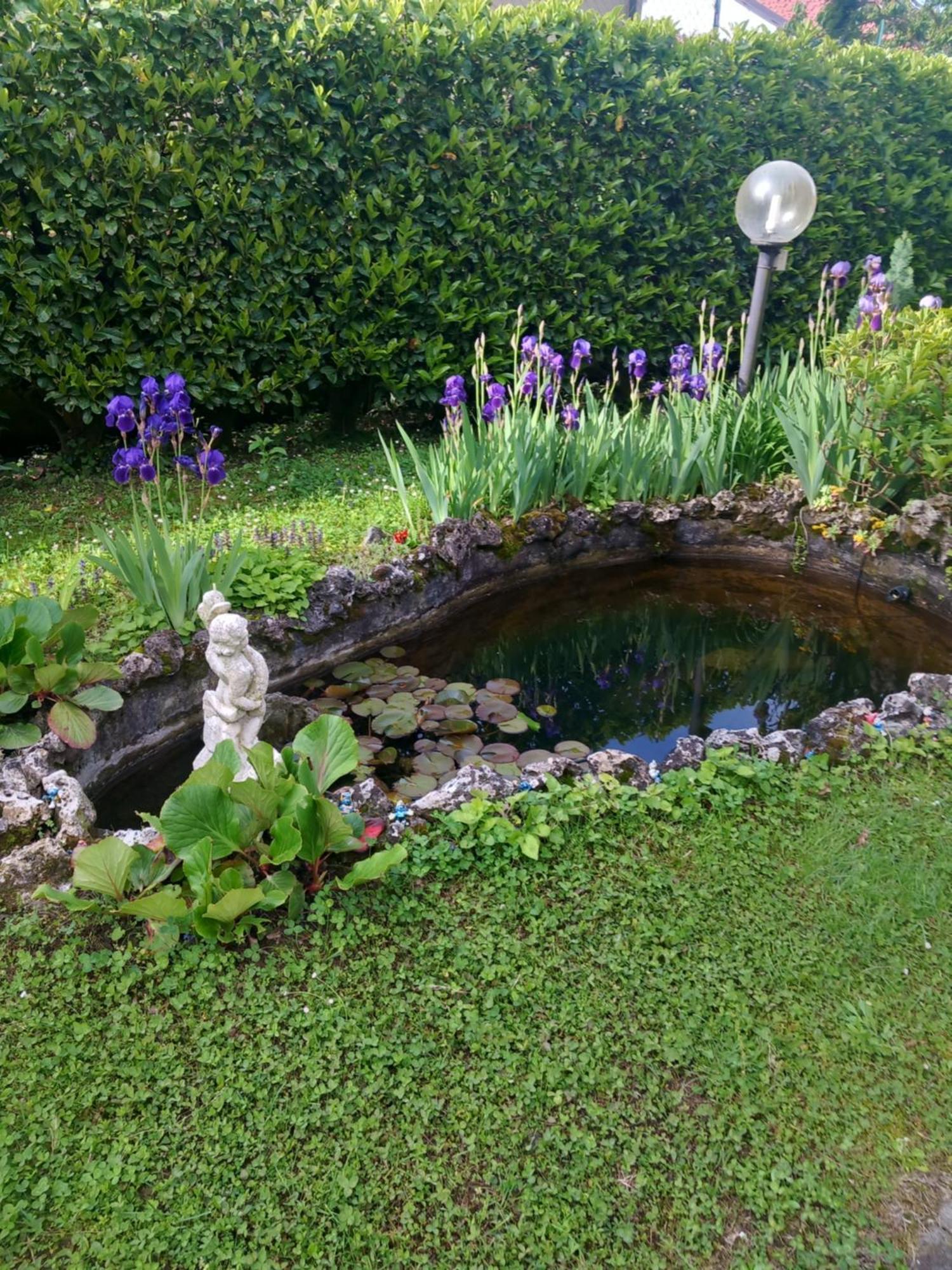 Il Laghetto Bed & Breakfast Torre Canavese Dış mekan fotoğraf